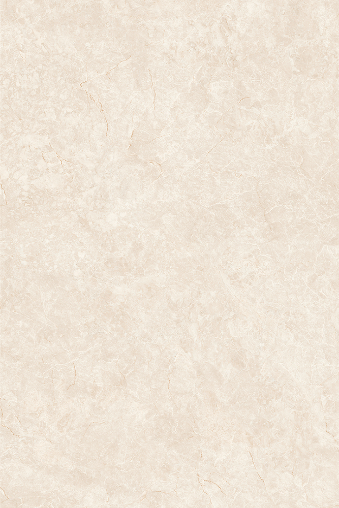 顶级白玉兰 Q1218GDR271A产品图