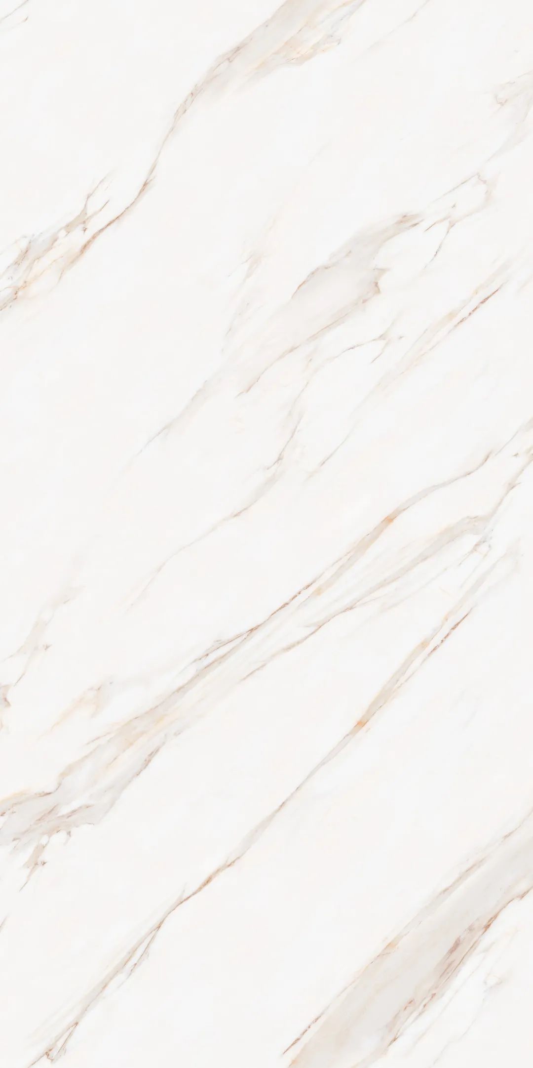 【新品】奢华定制，1600x3200mm成就大宅风范！(图28)