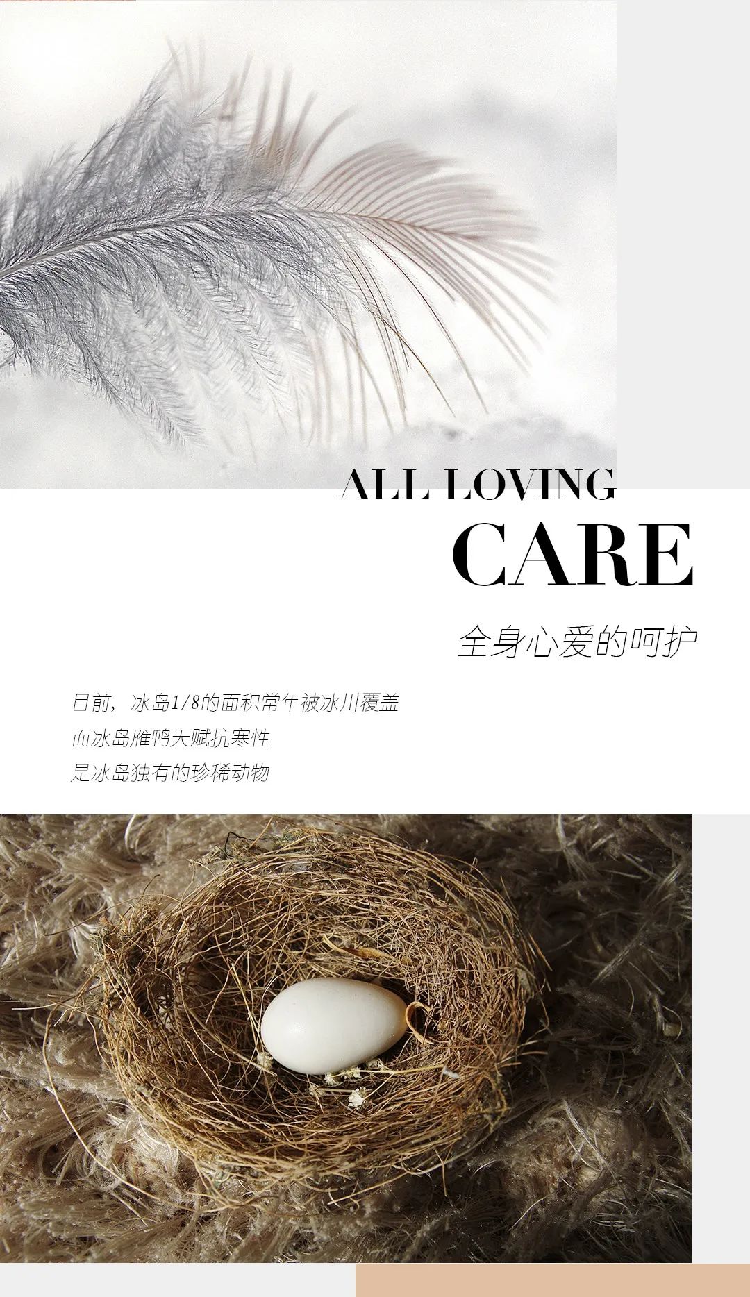 寻迹冰岛，从‘绒’中发现自在岩感！(图2)